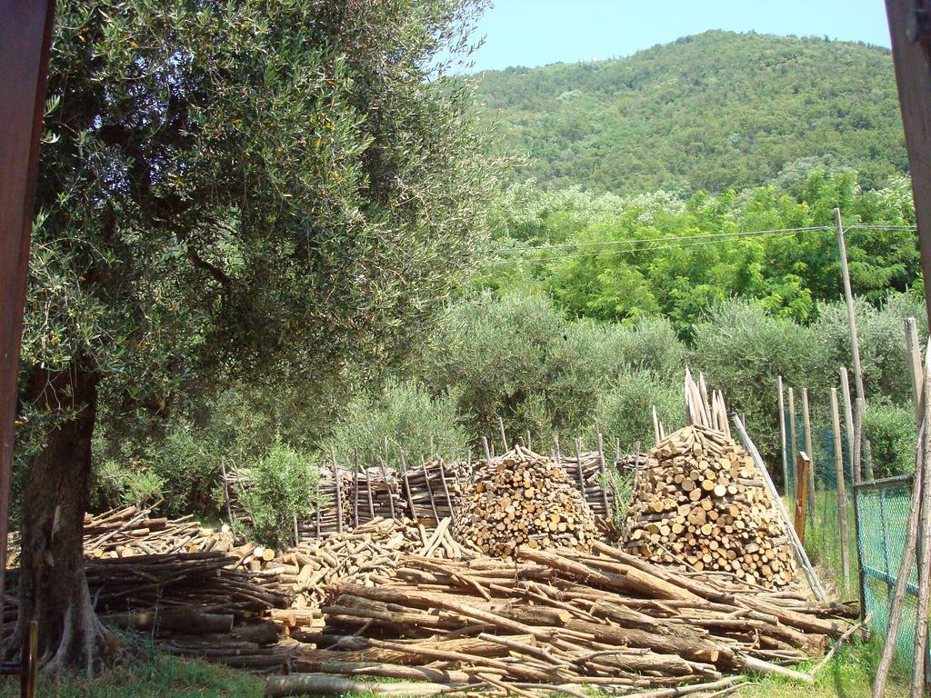 Agroturismo Il Castagneto *
