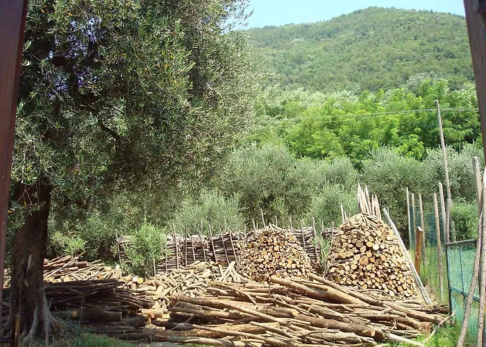 Il Castagneto