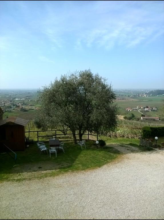 Il Castagneto *