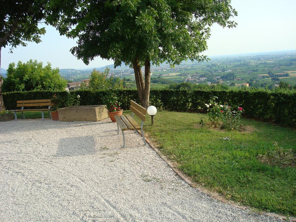 Il Castagneto