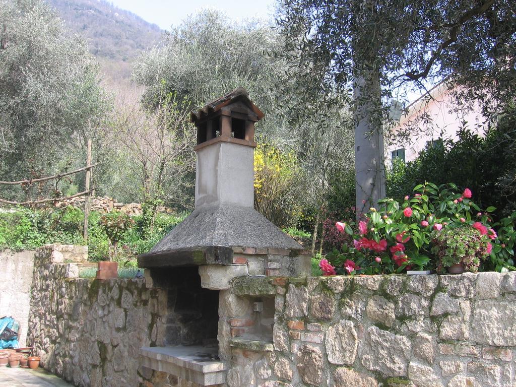 Farm stay Il Castagneto *