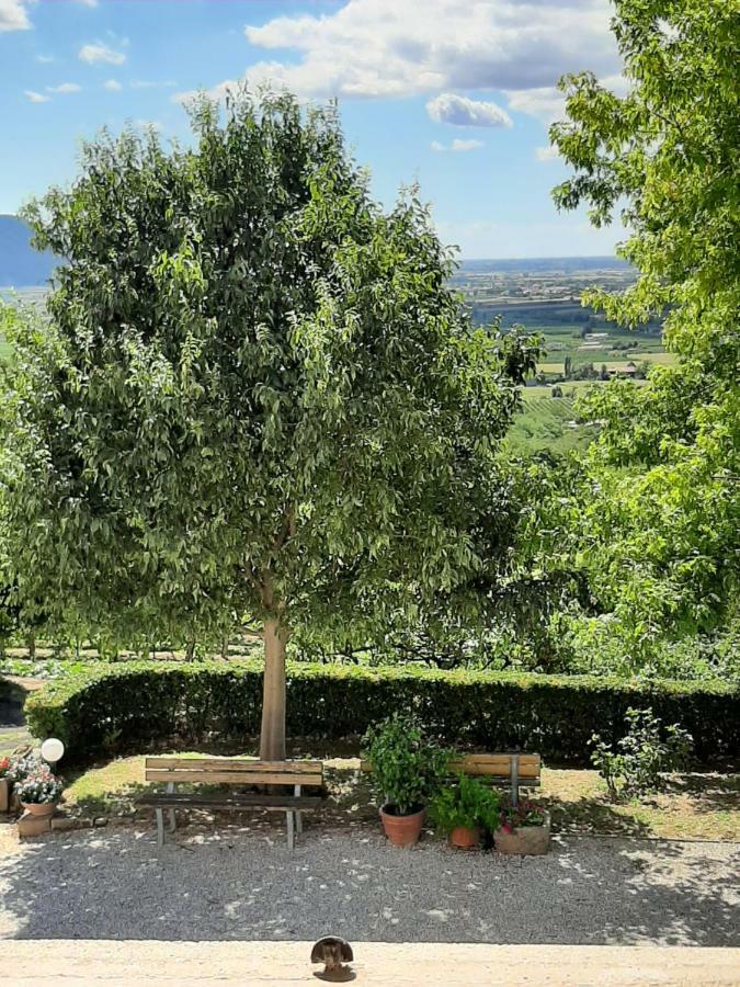 Farm stay Il Castagneto Teolo